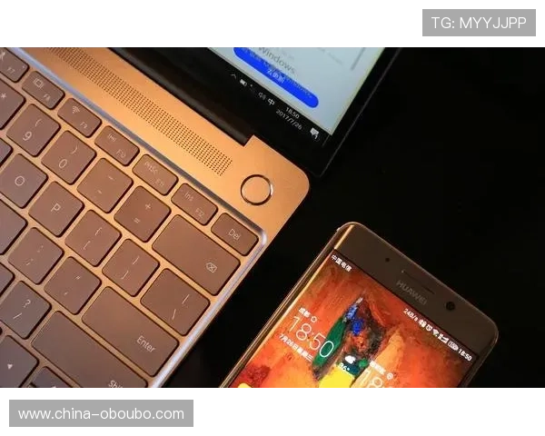 欧博方官网多平台兼容性介绍，支持PC端、手机端多设备无缝切换体验